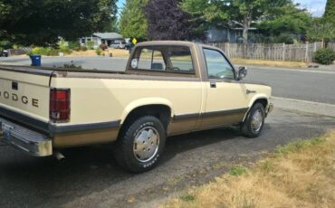 Dodge-dakota-1988-custom-2