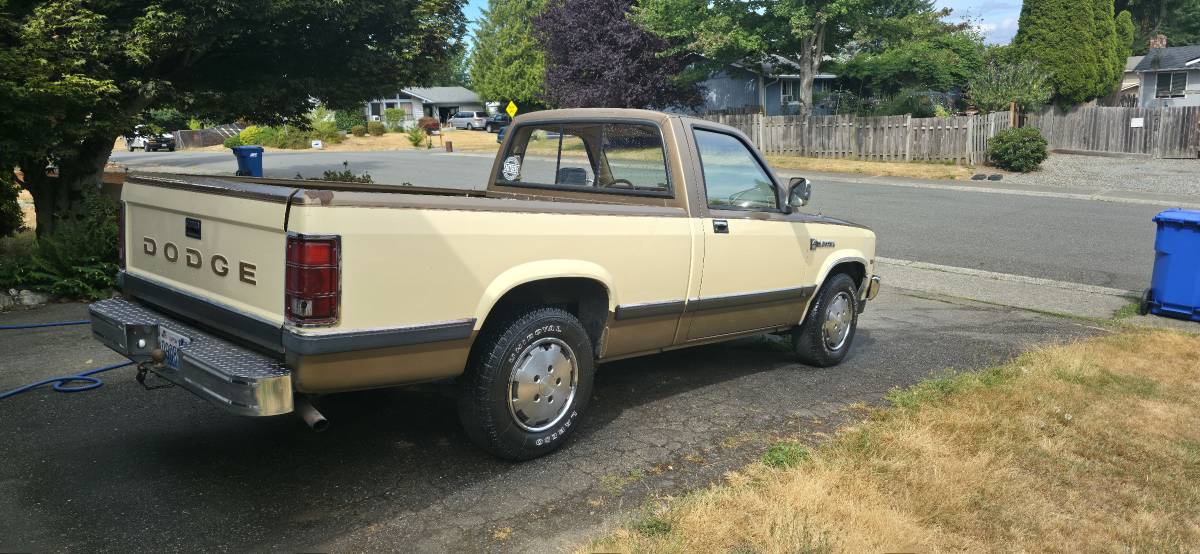 Dodge-dakota-1988-custom-2
