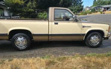 Dodge-dakota-1988-custom-3