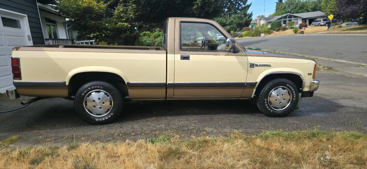 Dodge-dakota-1988-custom-3