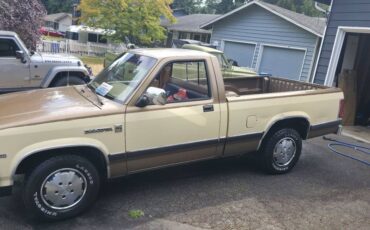 Dodge-dakota-1988-custom