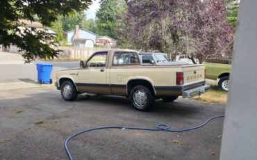 Dodge-dakota-1988-custom-4