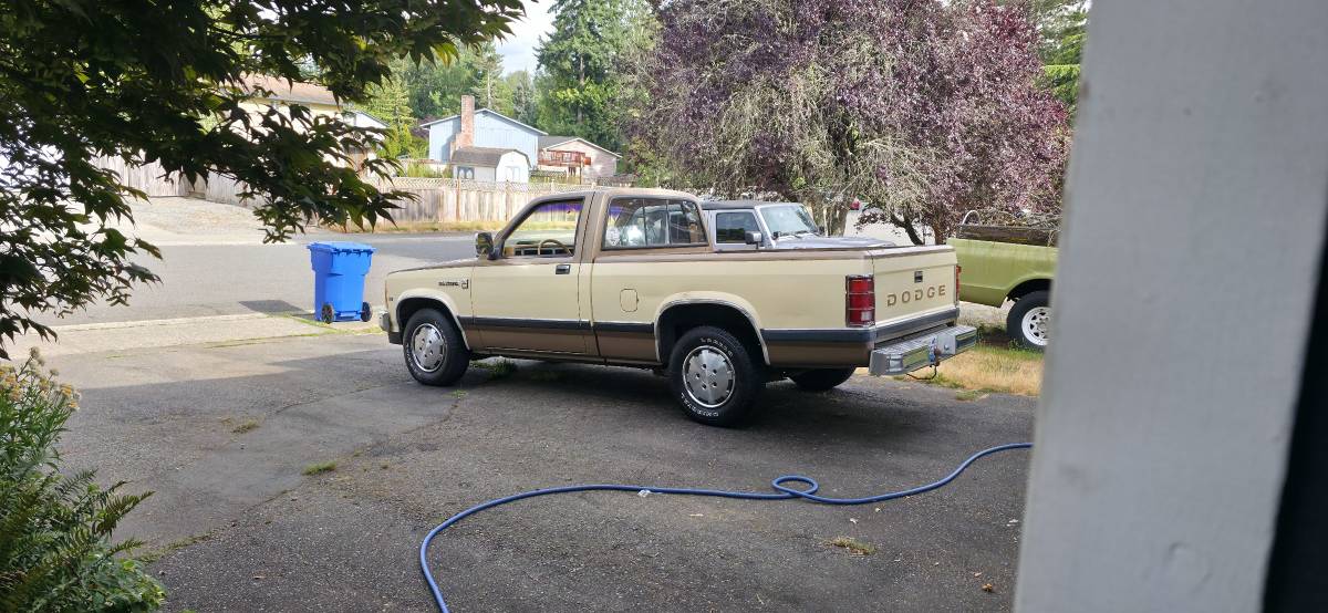 Dodge-dakota-1988-custom-4