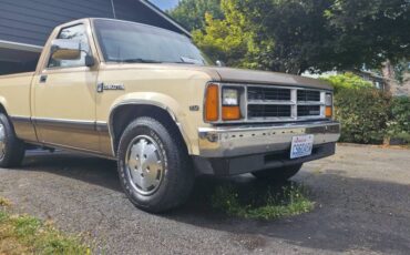 Dodge-dakota-1988-custom-5