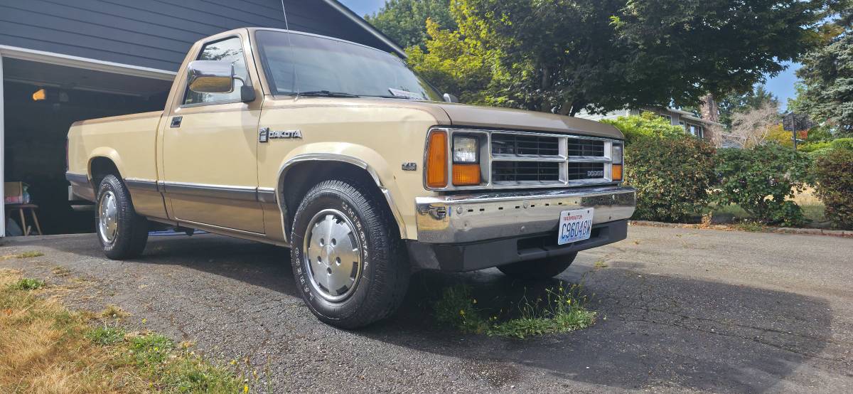 Dodge-dakota-1988-custom-5