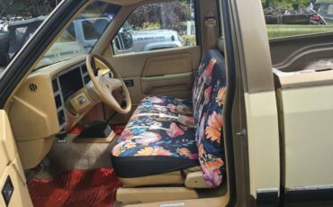 Dodge-dakota-1988-custom-6