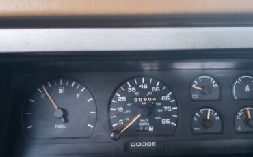 Dodge-dakota-1988-custom-7