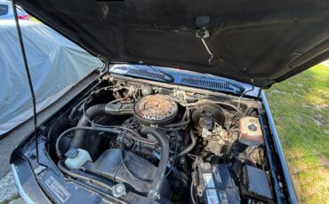 Dodge-dakota-le-1993-black-15