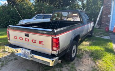 Dodge-dakota-le-1993-black-3