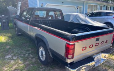 Dodge-dakota-le-1993-black-4