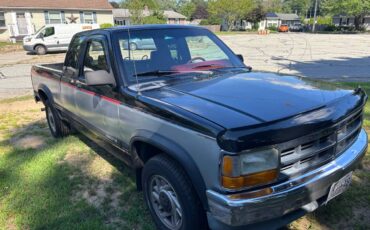 Dodge-dakota-le-1993-black-5