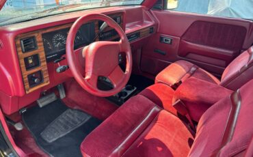 Dodge-dakota-le-1993-black-8