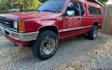 Dodge-power-ram-50-d-50-1988-red-1