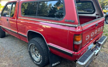 Dodge-power-ram-50-d-50-1988-red-2