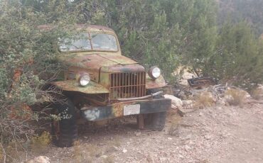 Dodge-power-wagon-1942-green