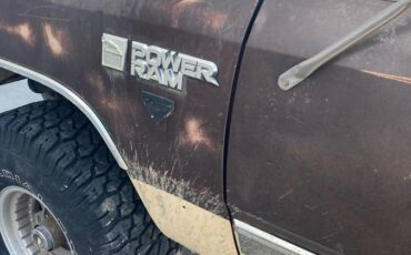 Dodge-ram-1500-1981-4