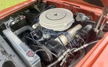 Edsel-1959-Redwood-MetallicDes-26