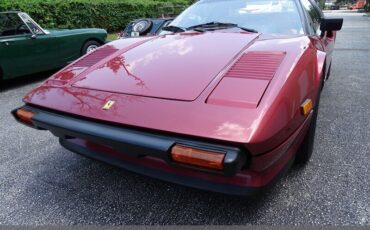 Ferrari-308-1982-14