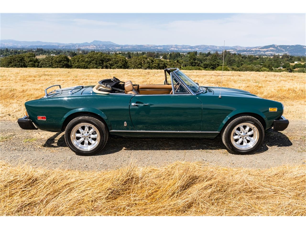 Fiat-124-1977-Green-Brown-1