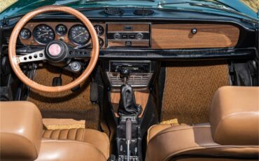 Fiat-124-1977-Green-Brown-19