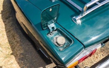 Fiat-124-1977-Green-Brown-2