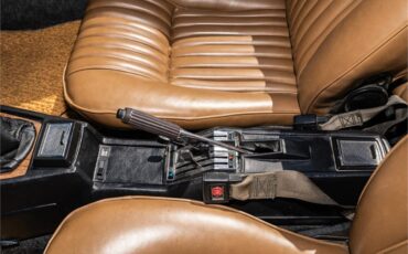 Fiat-124-1977-Green-Brown-25
