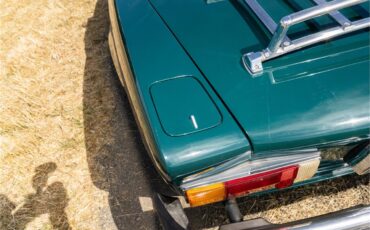 Fiat-124-1977-Green-Brown-35