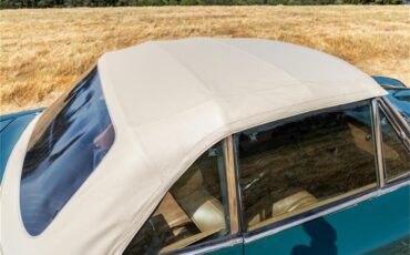 Fiat-124-1977-Green-Brown-4