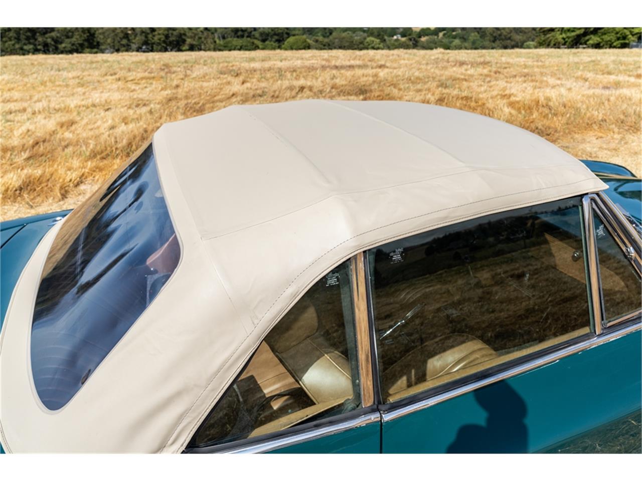 Fiat-124-1977-Green-Brown-4