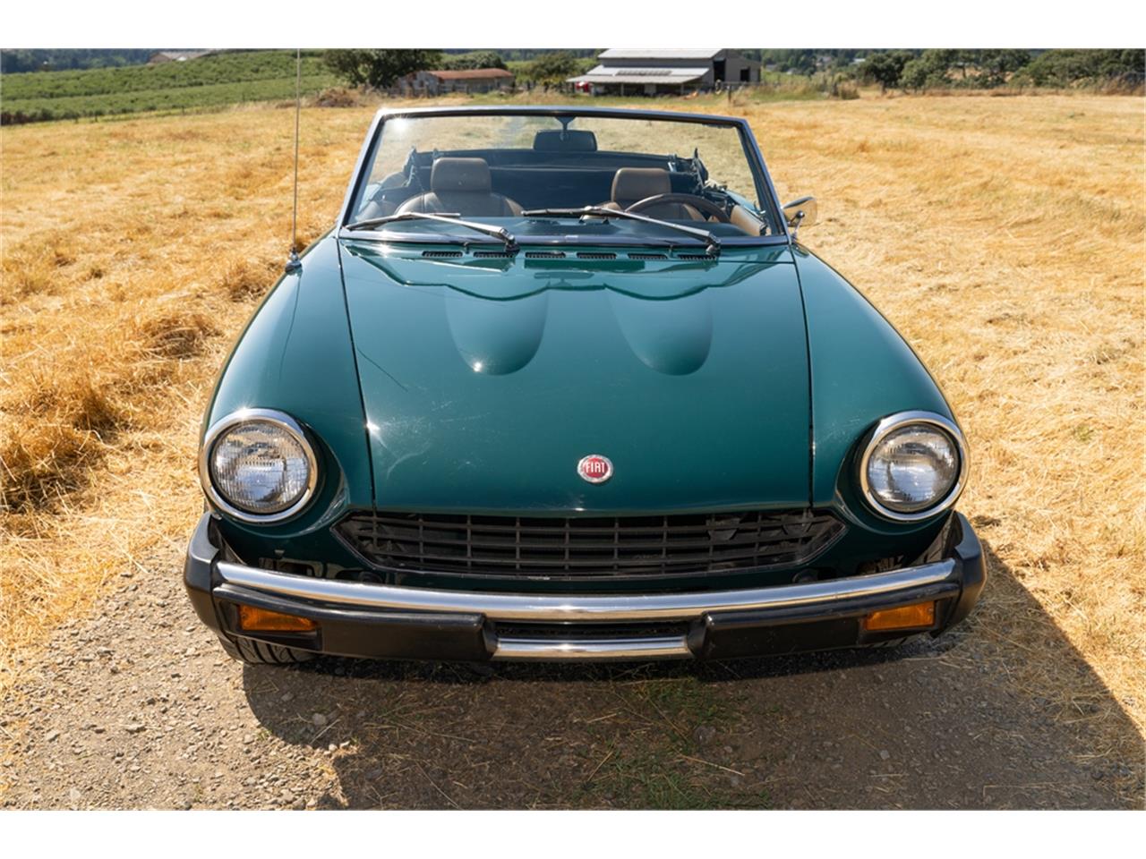 Fiat-124-1977-Green-Brown-42