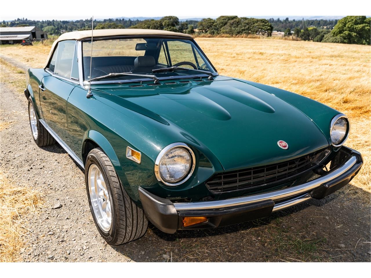Fiat-124-1977-Green-Brown-43