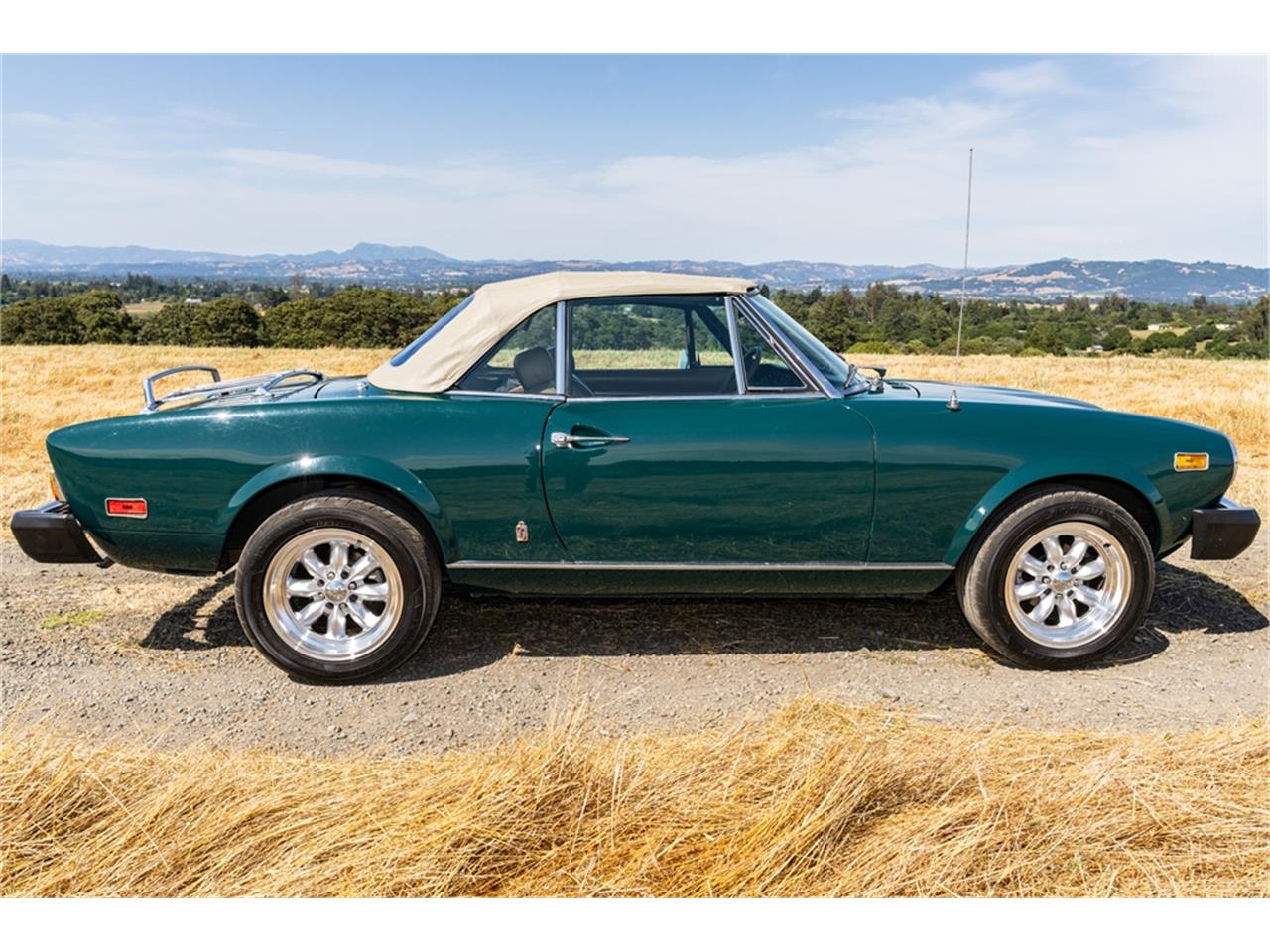 Fiat-124-1977-Green-Brown-44