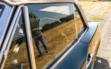 Fiat-124-1977-Green-Brown-55