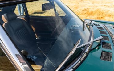 Fiat-124-1977-Green-Brown-57