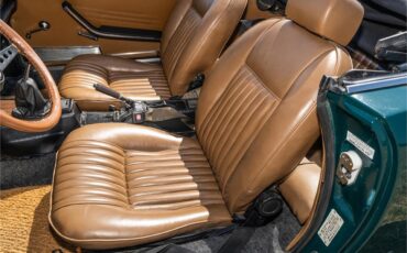 Fiat-124-1977-Green-Brown-61