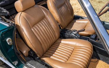 Fiat-124-1977-Green-Brown-62