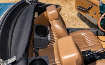 Fiat-124-1977-Green-Brown-65
