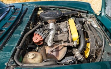 Fiat-124-1977-Green-Brown-7
