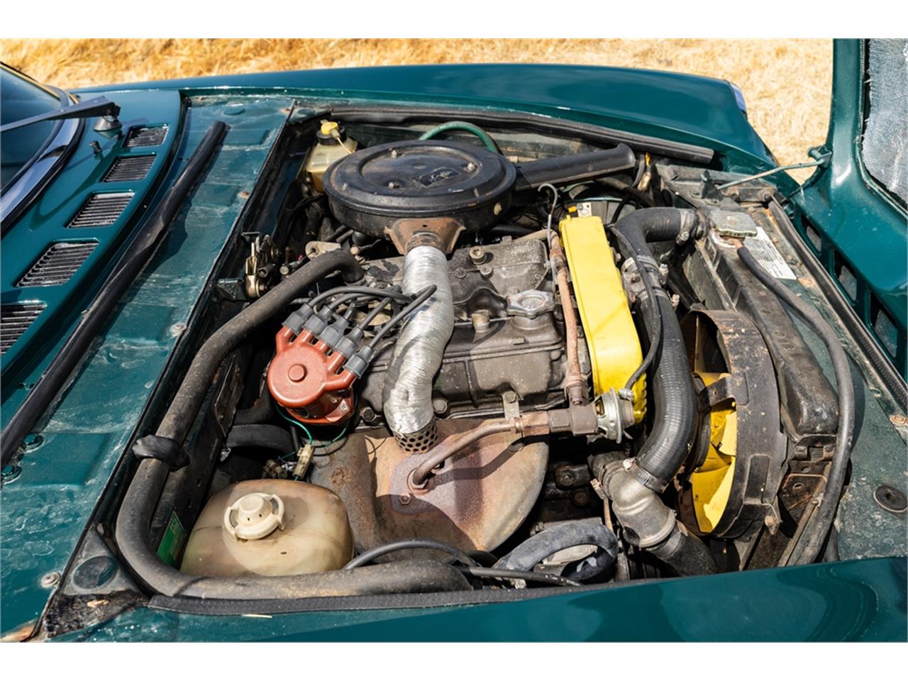 Fiat-124-1977-Green-Brown-7
