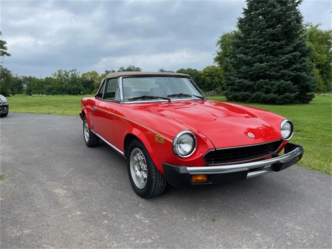 Fiat-Spider-1982-Orange-Tan-7