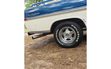 Ford-12-ton-pickup-1971-BlueWhite-Blue-5