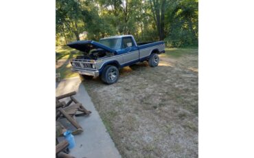 Ford-12-ton-pickup-1976-BlueSilver-Blue
