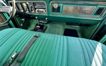 Ford-12-ton-pickup-1978-Green-Green-2