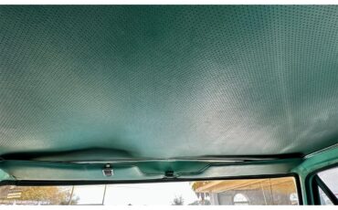 Ford-12-ton-pickup-1978-Green-Green-20