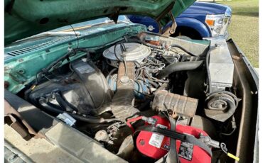 Ford-12-ton-pickup-1978-Green-Green-29