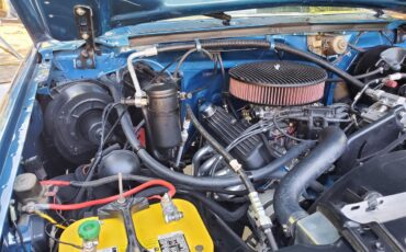 Ford-12-ton-pickup-1984-Blue-Blue-33
