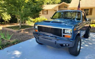 Ford-12-ton-pickup-1984-Blue-Blue-5