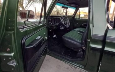 Ford-1976-18