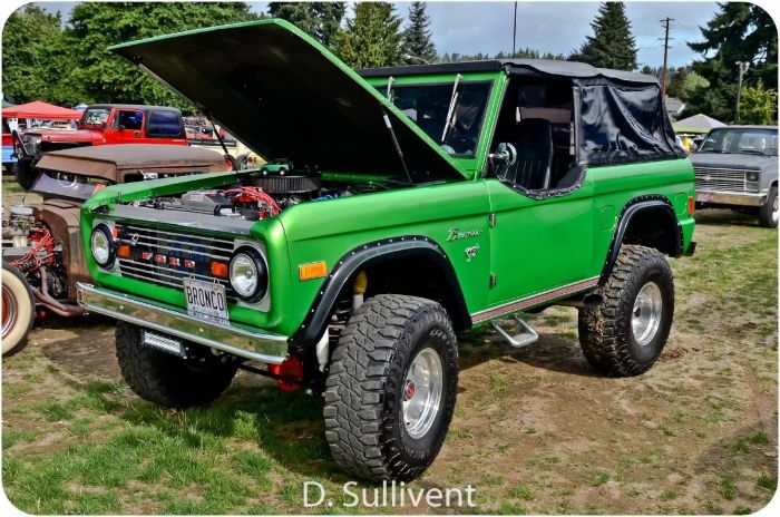 Ford-Bronco-1977-Green-13