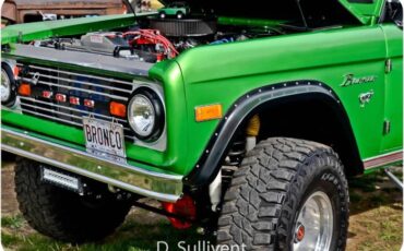 Ford-Bronco-1977-Green-14